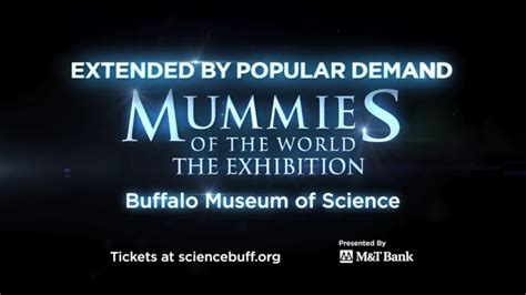 Buffalo Museum of Science - Immerse Agency