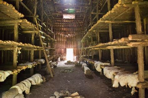 -interior-of-traditional-iroquois-longhouse- | Native american ...