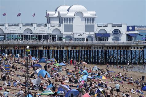 Seagulls could be cause of pollution that might keep bathers out of the ...