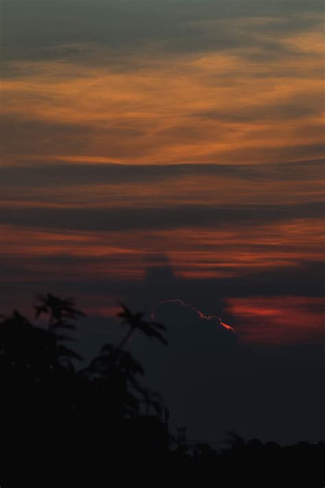 HD wallpaper: silhouette of tree, nature, outdoors, red sky, dusk, dawn ...