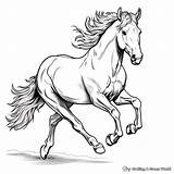 Horse Jumping Coloring Pages  Free & Printable sketch template