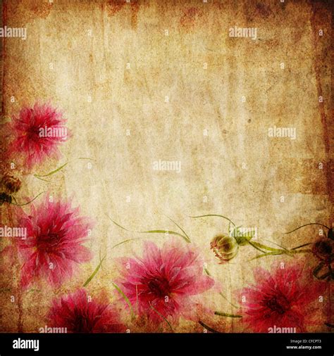 Old paper background with pink flowers Stock Photo - Alamy