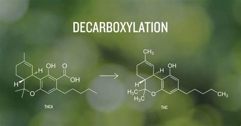 Cannabis Decarboxylation Chart : Decarboxylation 101: How to decarb in ...