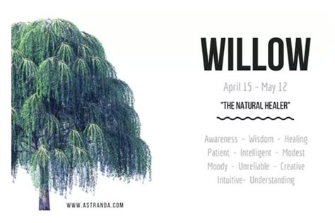 Willow tree symbolism and meaning explained – Artofit