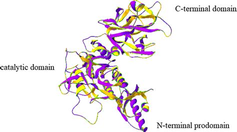 Structure of PCSK9 (aa 1 ~ 692) (Built by... | Download Scientific Diagram