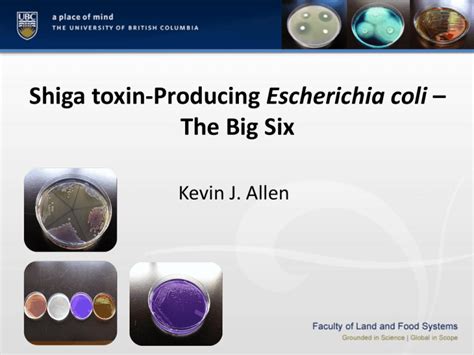 Shiga toxin-Producing Escherichia coli â€“ The Big Six ( K Allen) 03