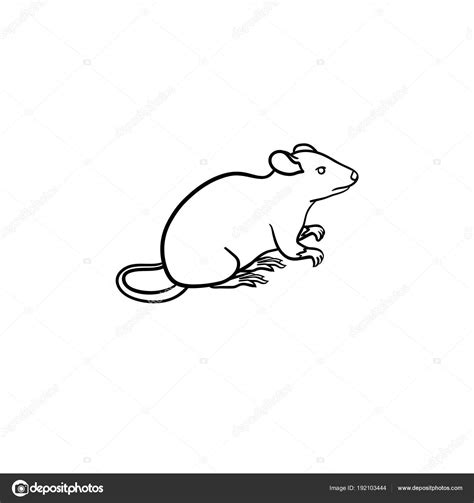 Lab rat hand drawn sketch icon. Stock Illustration by ©VisualGeneration ...