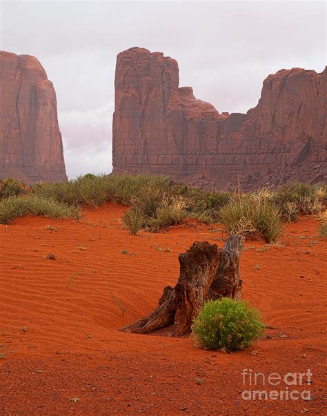 The Red Land Photograph by Jim Garrison | Fine Art America