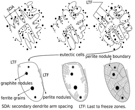 Schematic representation of the nucleation and growth steps in pearlite... | Download Scientific ...