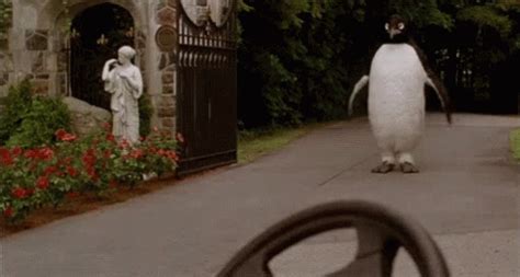 Billy Madison Penguin GIF - Billy Madison Penguin - Discover & Share GIFs