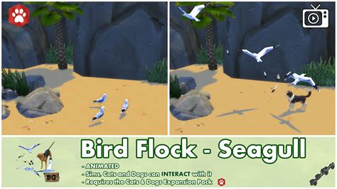 Mod The Sims - Bird Flock Spawner - Seagull (Interactive)