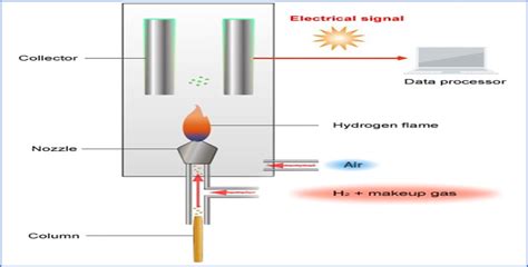 Gas Chromatography Detector (Type of GC Detectors) - PharmaSciences