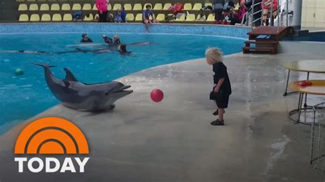 Little Boy Plays The Sweetest Game Of Catch With Dolphin | TODAY - YouTube