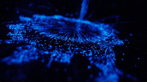 This Bioluminescent Algae Pool Art Installation Is Coming to a Secret ...