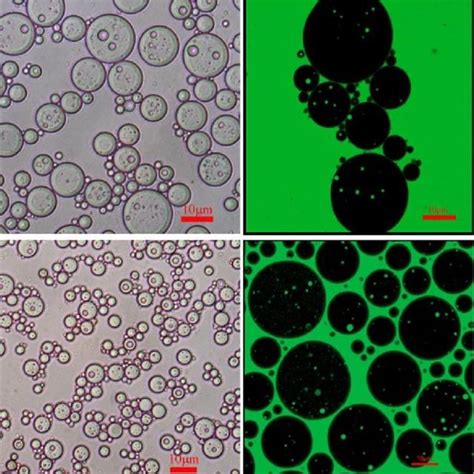 Influence of emulsifiers with different HLB values on emulsions... | Download Scientific Diagram