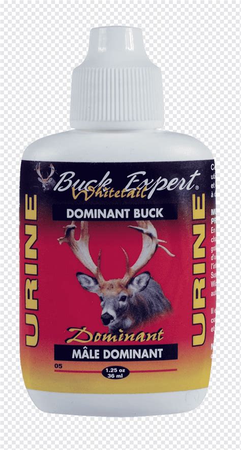 Roe deer White-tailed deer Liquid Buck Expert Inc, deer, animals, platinum, deer png | PNGWing