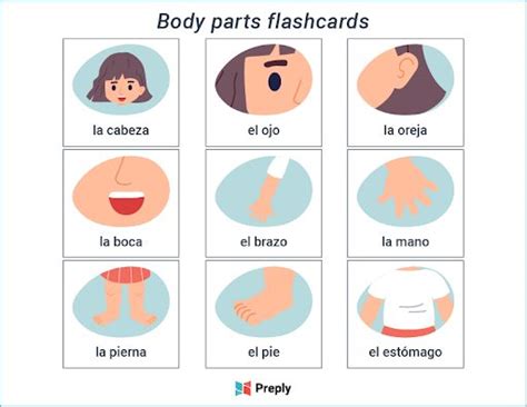 Spanish Flashcards: 75+ Free Printable Templates