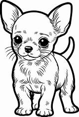 Free Printable Chihuahua Puppy Coloring Page For Kids And Adults sketch template