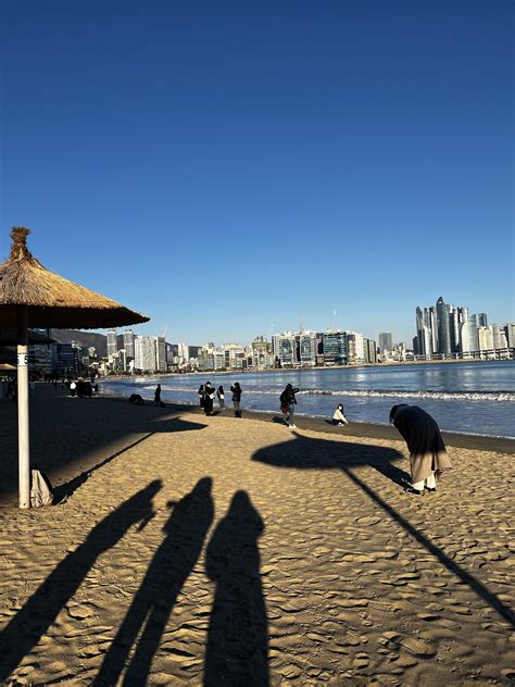 The Beach in Busan | Reach the World