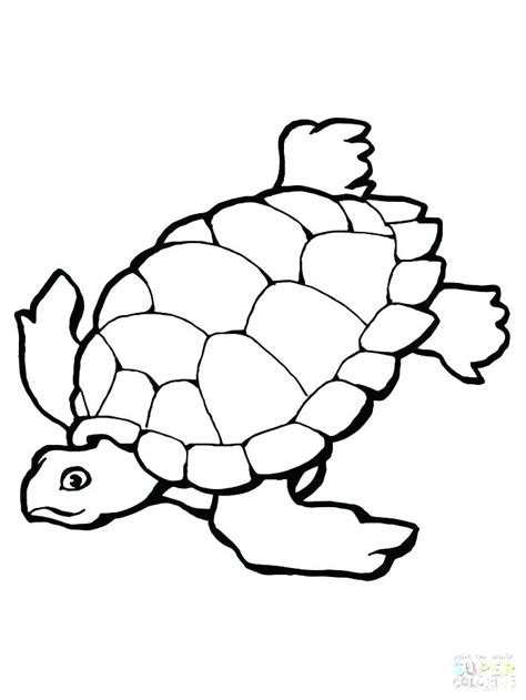 Snapping Turtle Coloring Pages at GetColorings.com | Free printable ...