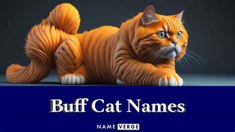 Buff Cat Names: 212+ Unique Names For Buff-Colored Cats