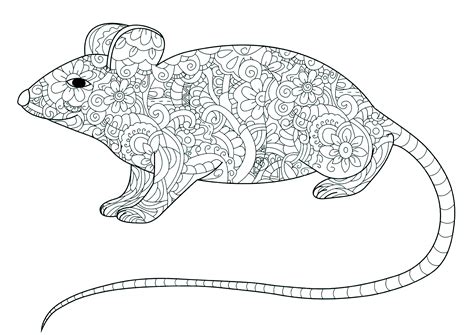 Little flowered mouse - Mouse Coloring Pages for adults