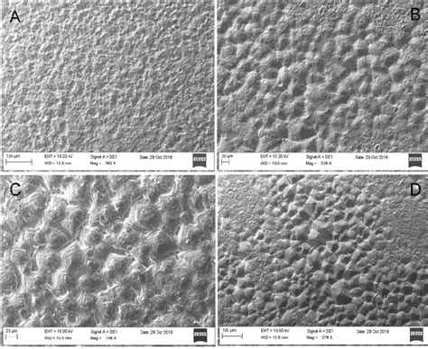 SEM micrographs of the hydrofluorosilicic acid etched glass surface for... | Download Scientific ...