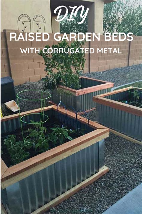 How to Make DIY Raised Garden Beds with Corrugated Metal