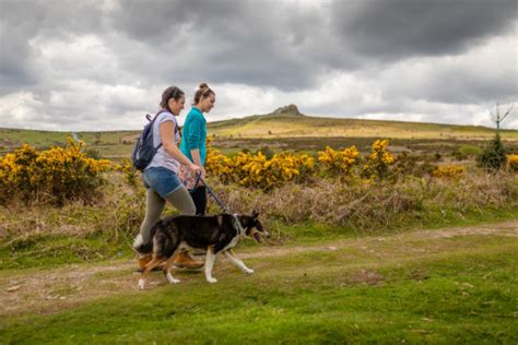 Dartmoor National Parks // Dartmoor Wildlife Park