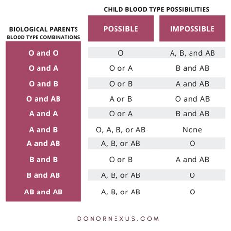 Does Egg Donor Blood Type Matter?