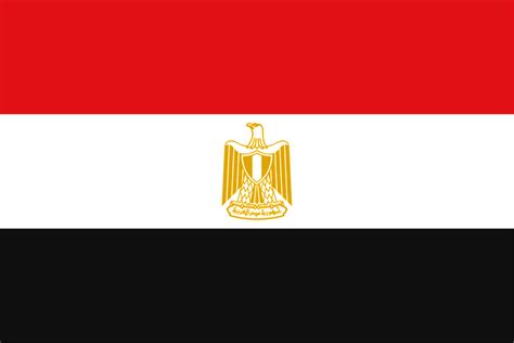 Buy Egypt National Flag Online | Printed & Sewn Flags | 13 sizes