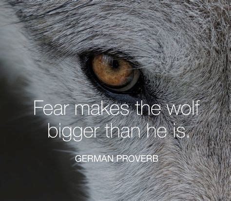 49 Wolf Quotes ideas | wolf quotes, wolf, quotes