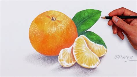 Orange Fruit Drawing at GetDrawings | Free download