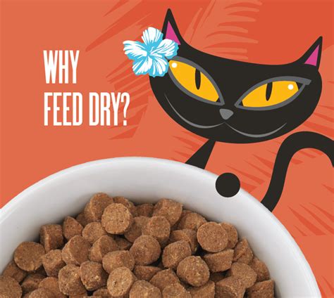 The Benefits of Dry Cat Food - Tiki Pets