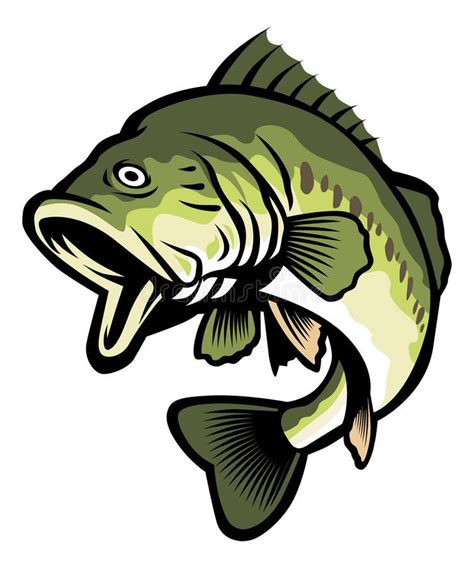 Largemouth bass. Vector of largemouth bass fish, suitable for fishing theme desi , #AFFILIATE, # ...