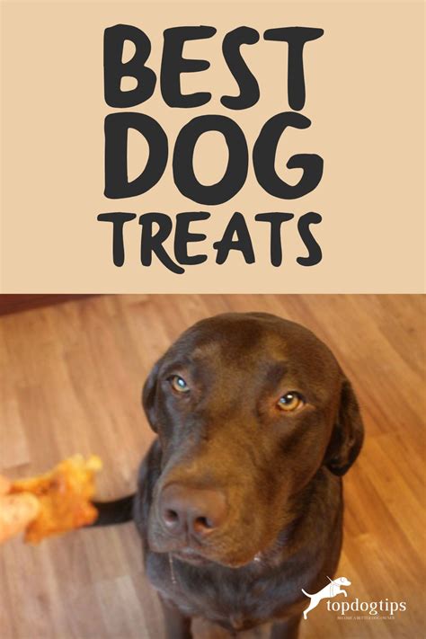 13 Best Healthy Dog Treats of 2024 (All-Natural & Organic)