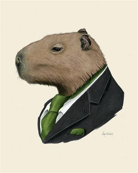 Capybara Art Print | Capivara, Fotos de capivara, Roupas para pet