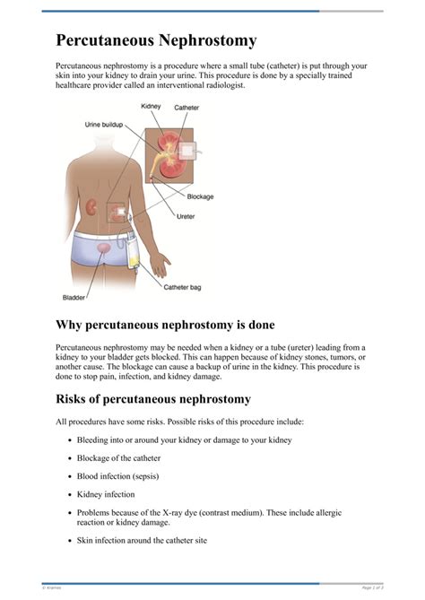 NEPHROSTOMY A Nephrostomy Tube Is A Thin, Flexible Plastic, 57% OFF