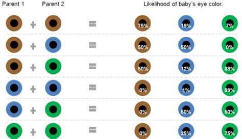 All About The Human Eye Color Chart