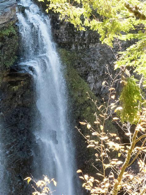 View Of Salmon River Falls Photograph by Joan D Squared Photography