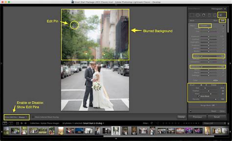 How To Blur The Background In Lightroom – ShootDotEdit