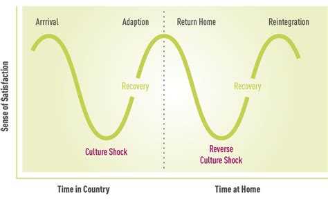 Cultural Adjustment Phases | ISO