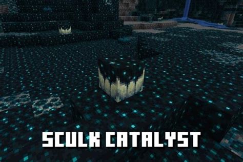 How to Get and Use Sculk Catalyst in Minecraft 1.19 1.19 (2022) | Beebom