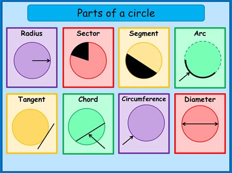 What are the Parts of a Circle - A Plus Topper