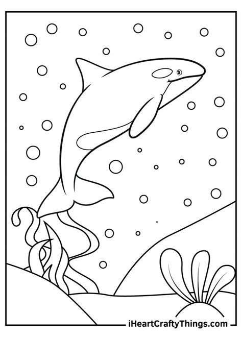 Killer Whale Coloring Pages (100% Free Printables)