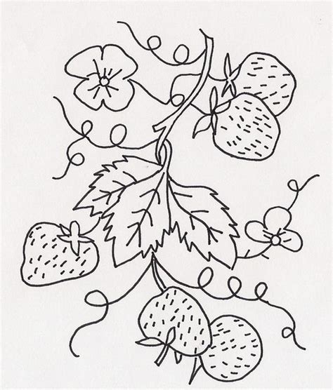 Ivy Vine Drawing at PaintingValley.com | Explore collection of Ivy Vine Drawing