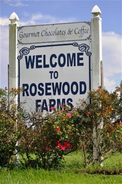 Rosewood Farms Country Gifts (Hartville) - 2020 All You Need to Know BEFORE You Go (with Photos ...