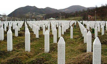 Bosnian genocide - Wikipedia