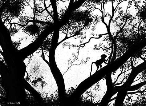 jungle silhouette - a photo on Flickriver