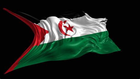 Flag Of Sahrawi Arab Democratic Republic Beautiful 3d Animation Of Sahrawi Arab Democratic ...